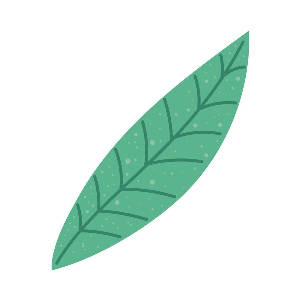 follaje de la planta de hoja verde vector