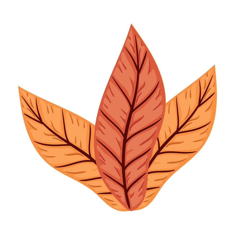 follaje de hojas de otoño vector