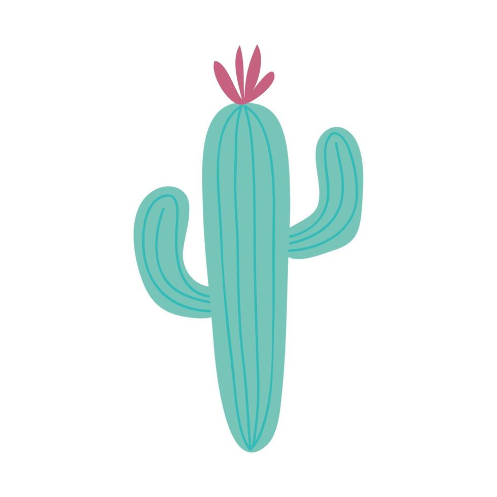 cactus plant desert vector