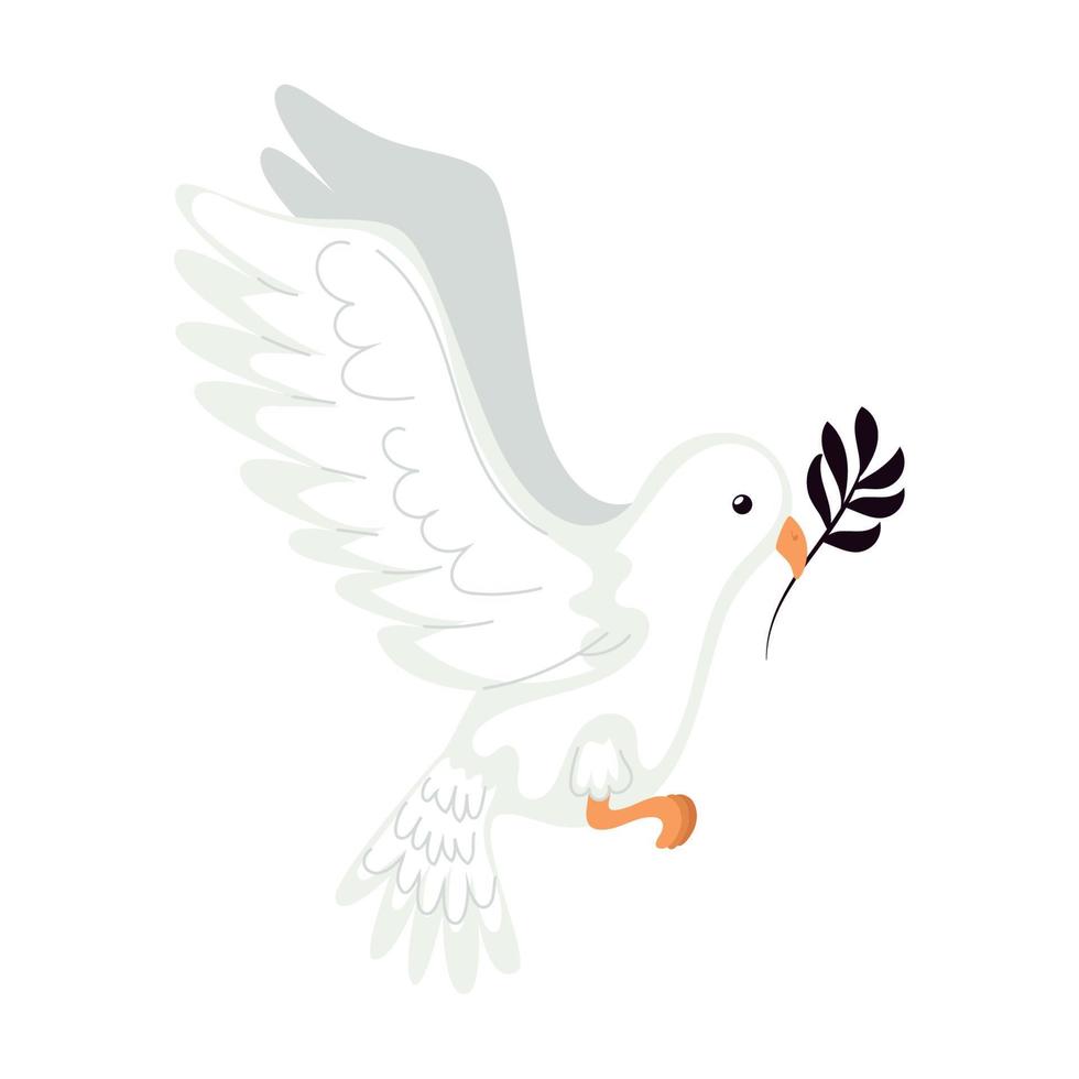 dove with olive branch vector