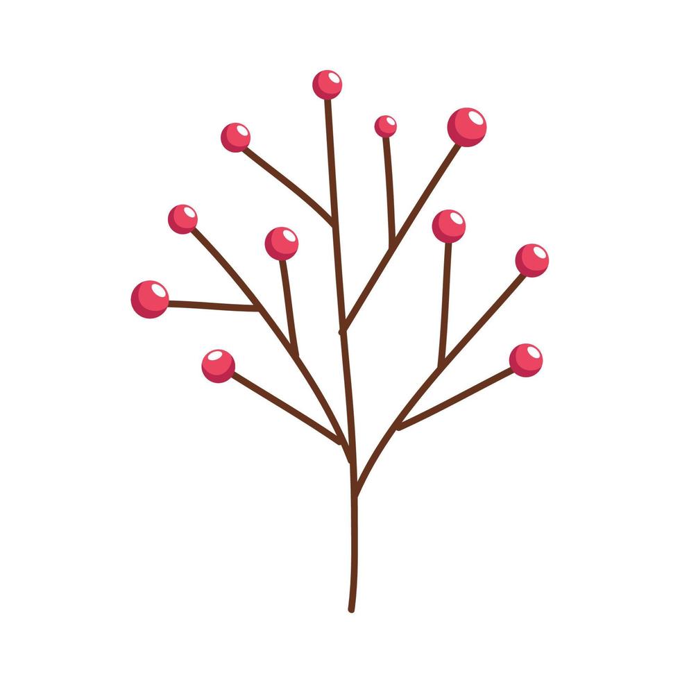 red seeds in branch vector