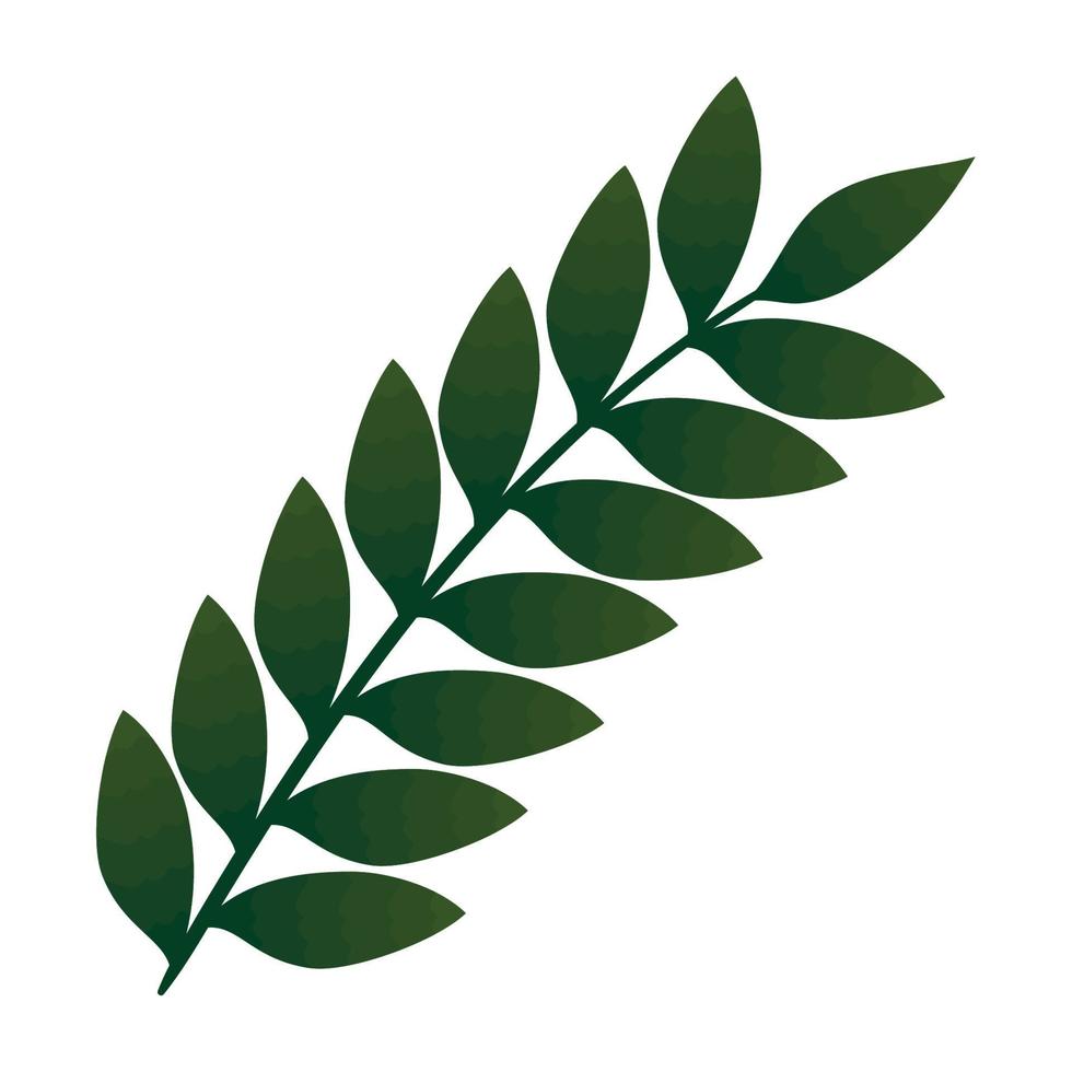 branch with leaves foliage vector