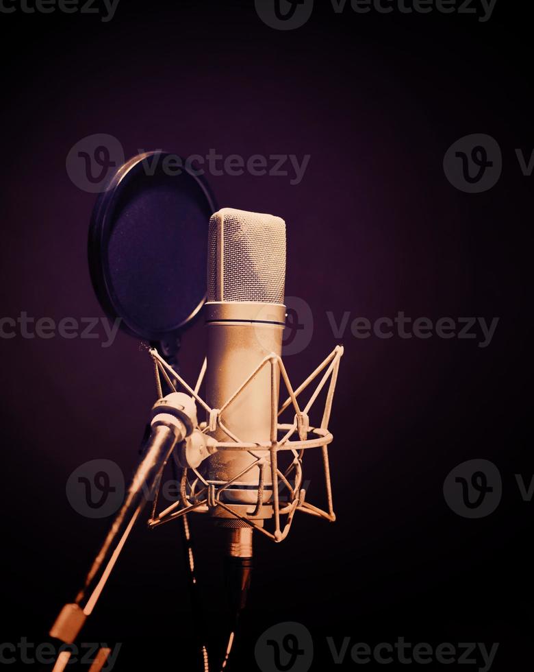 Professional microphone and anti vibration on mic stand. photo