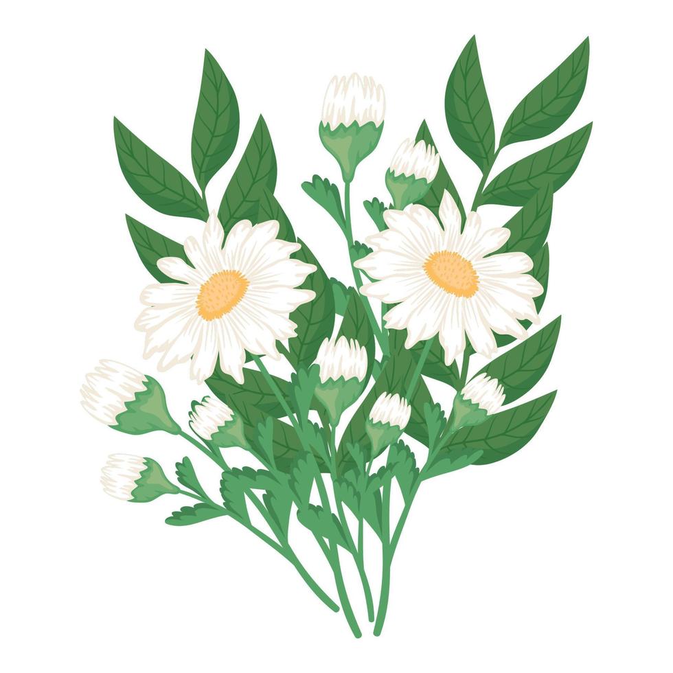flowers and leafs decoration vector