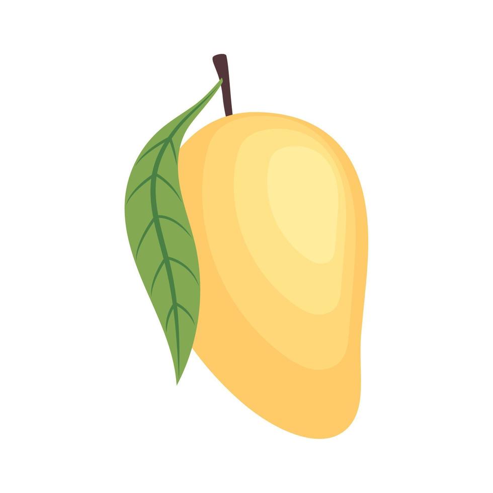 fresh mango fruit vector