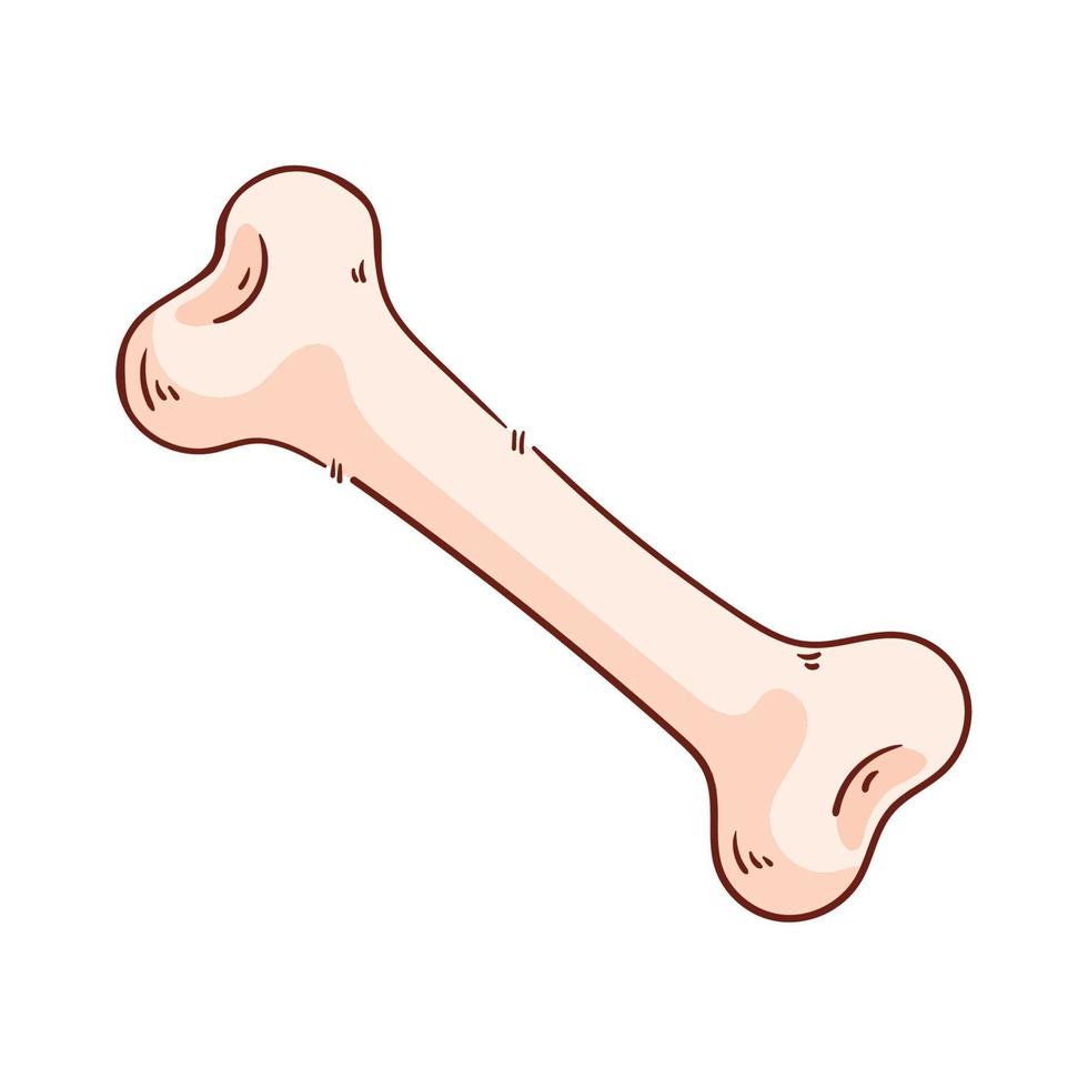 bone pet toy vector