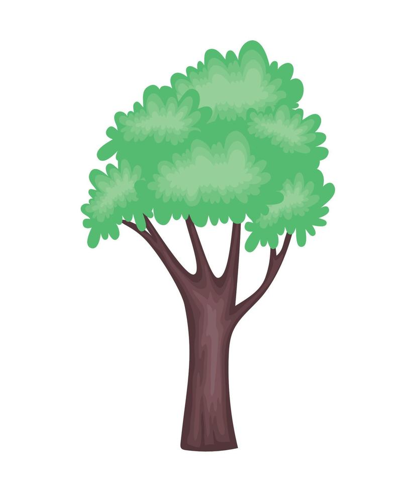 tree plant garden vector