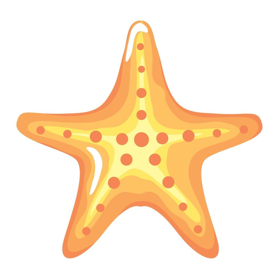 tropical starfish animal vector