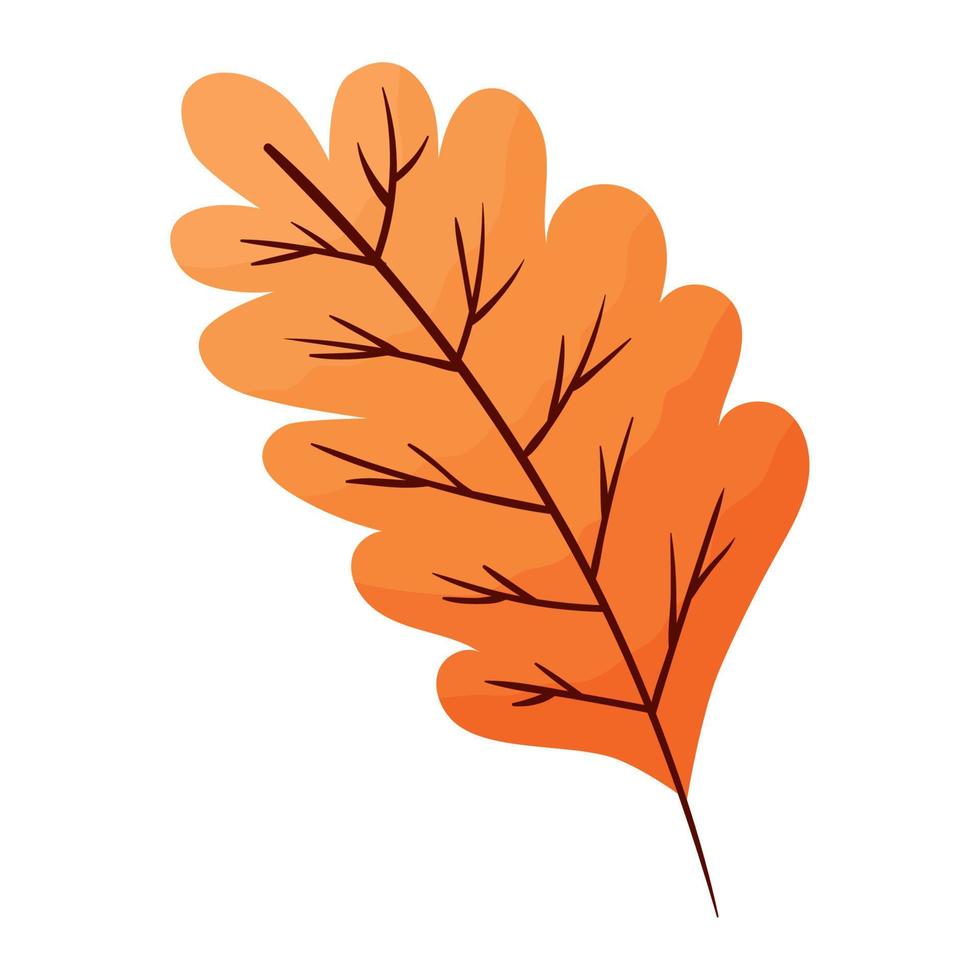 autumn leaf foliage vector