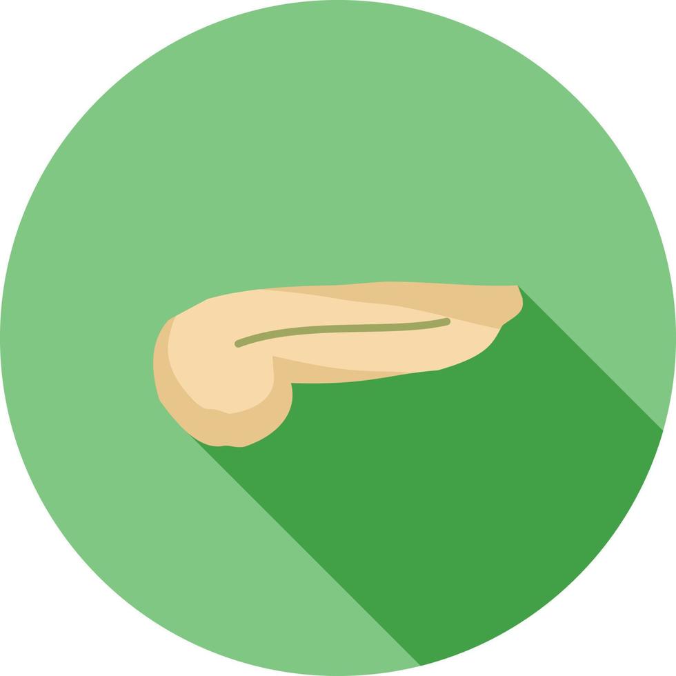 Pancreas Flat Long Shadow Icon vector