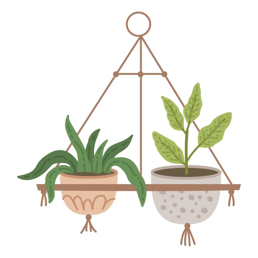 Plant in hanging pot. Houseplant hang on rope, decorative indoor plant, vector