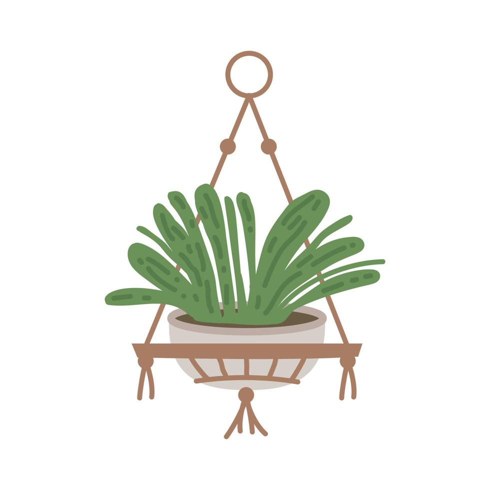 Plant in hanging pot. Houseplant hang on rope, decorative indoor plant, vector