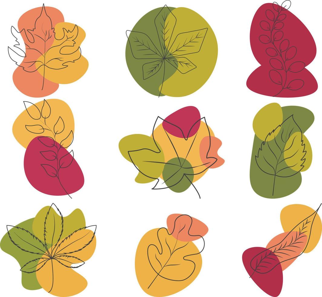 hojas de otoño multicolores de diferentes árboles. vector