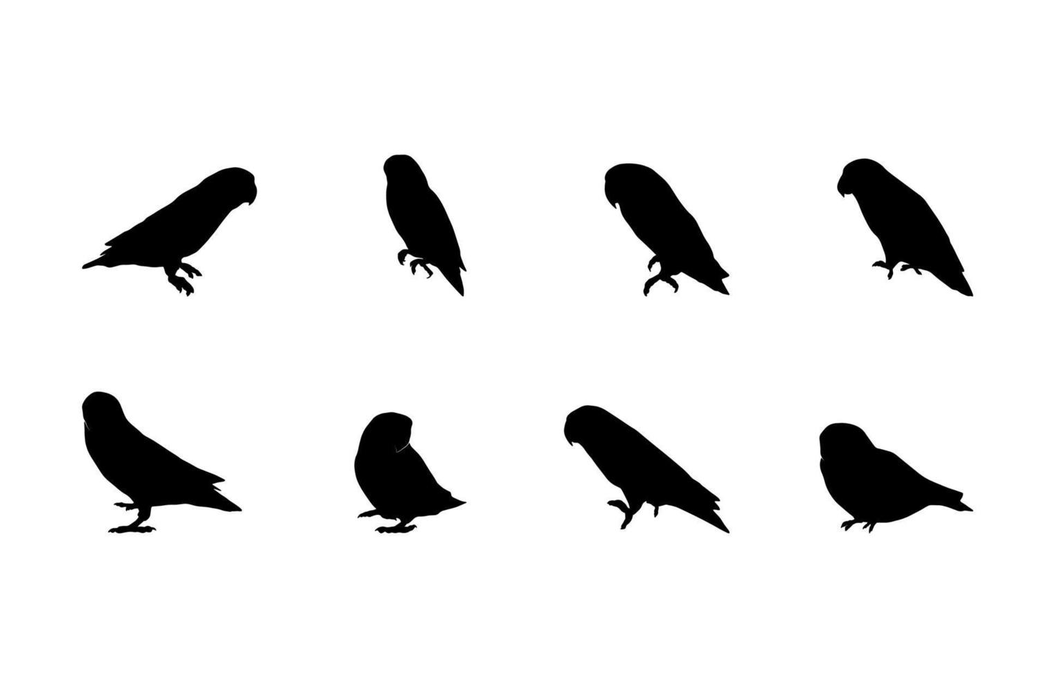 colección de silueta de pájaro aislado sobre fondo blanco vector