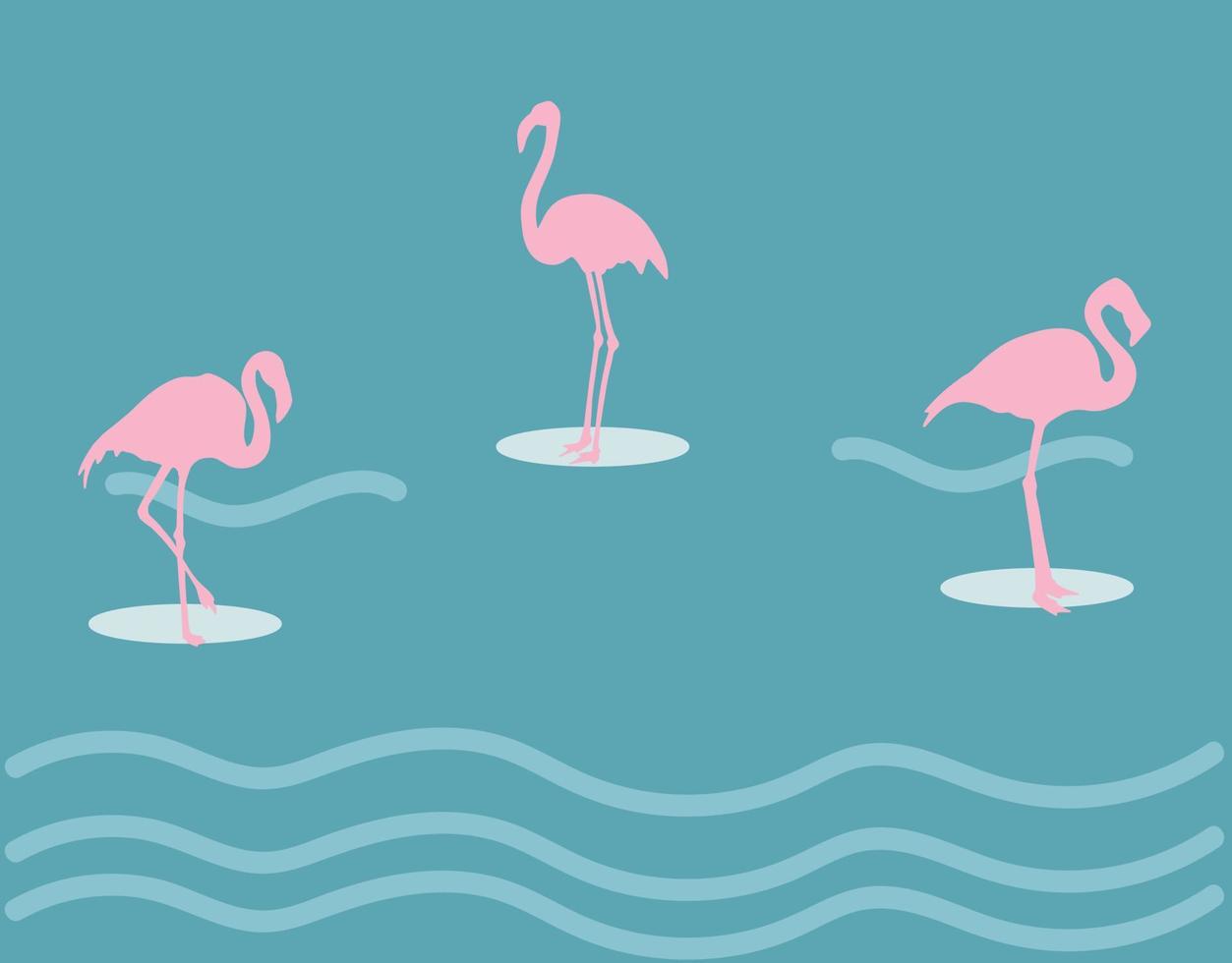 Illustrations Flamingo on Water Vector