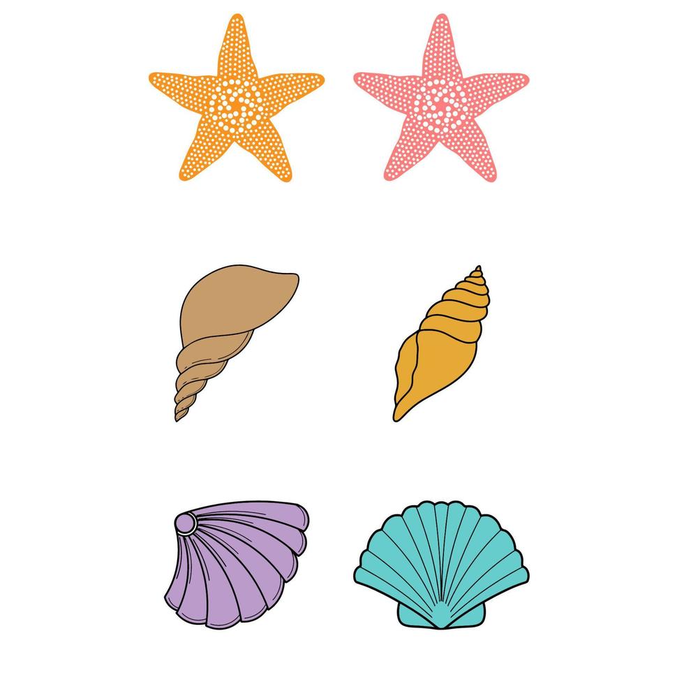 Set of Star Shell and Sea Shell Vector