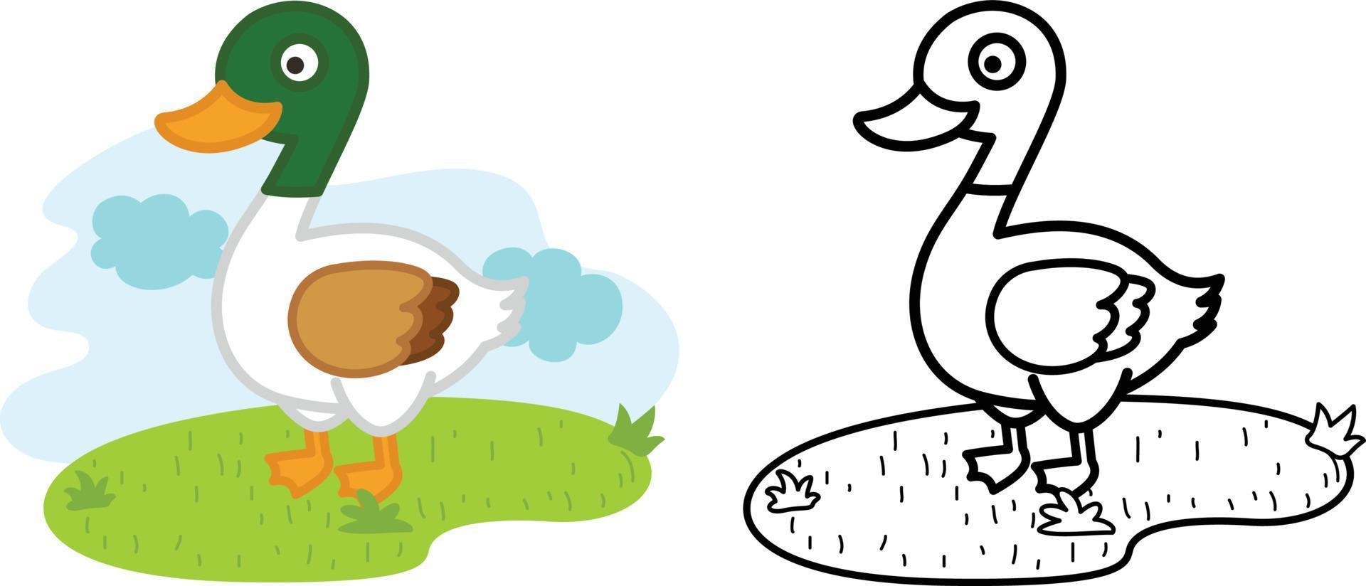 Illustration of educational coloring book animal duck vector