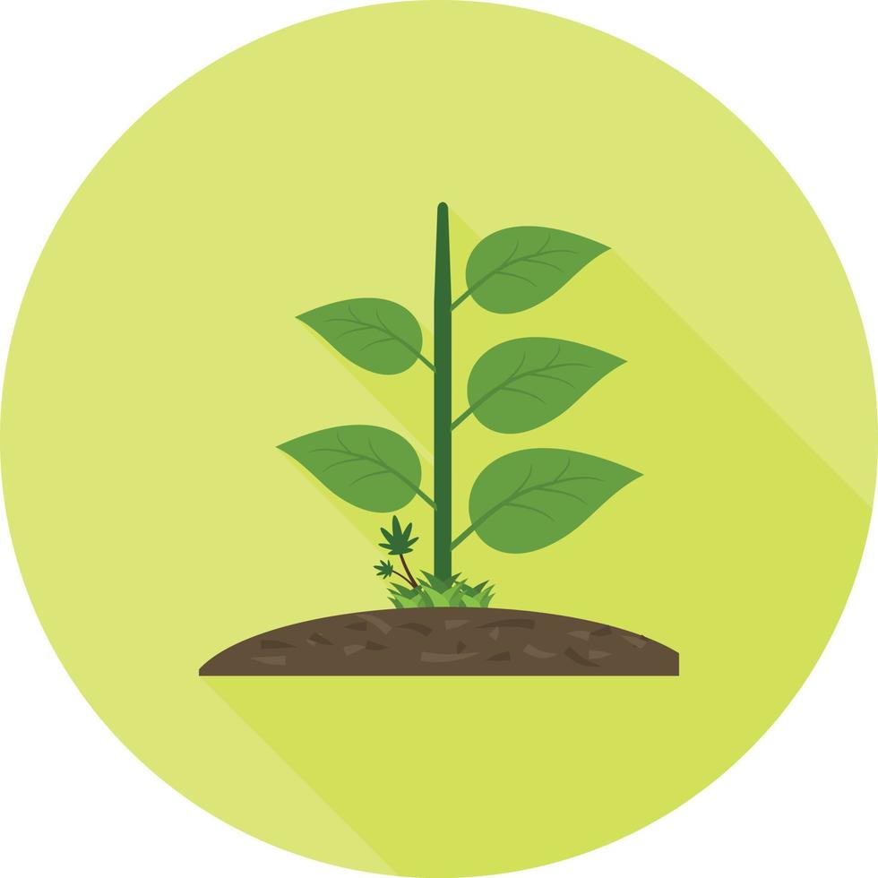 planta iv plana larga sombra icono vector