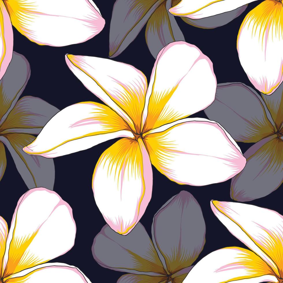 Seamless pattern floral with Frangipani flowers abstract background.Vector illustration hand drawn.fabric textile print design vector