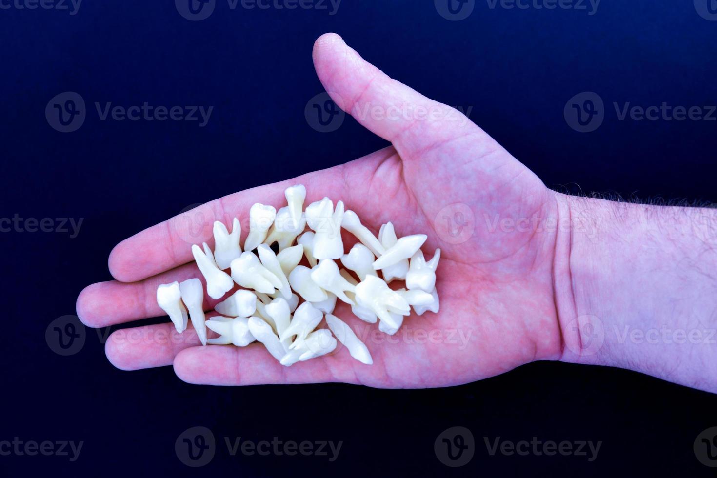 human hand holding white teeth on blue background photo