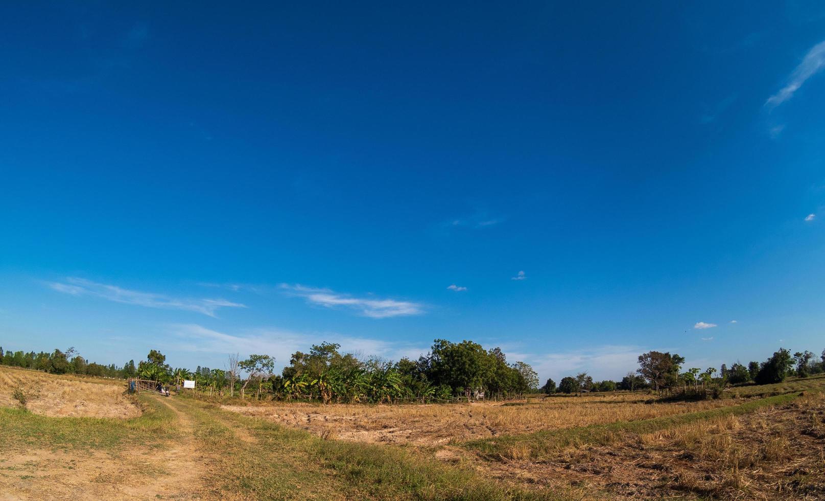 punto de vista del paisaje para el diseño postal y calendario verano naturaleza mira montañas verdes. cielos azules claros y varios árboles de distancia. en el primer lugar natural en el día de la mañana, uthai thani tailandia foto