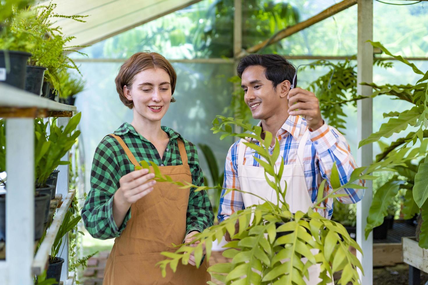 el equipo de jardineros está trabajando dentro del invernadero cuidando el helecho colgante vertical en el centro de viveros para el concepto de cultivador de plantas nativas y exóticas foto