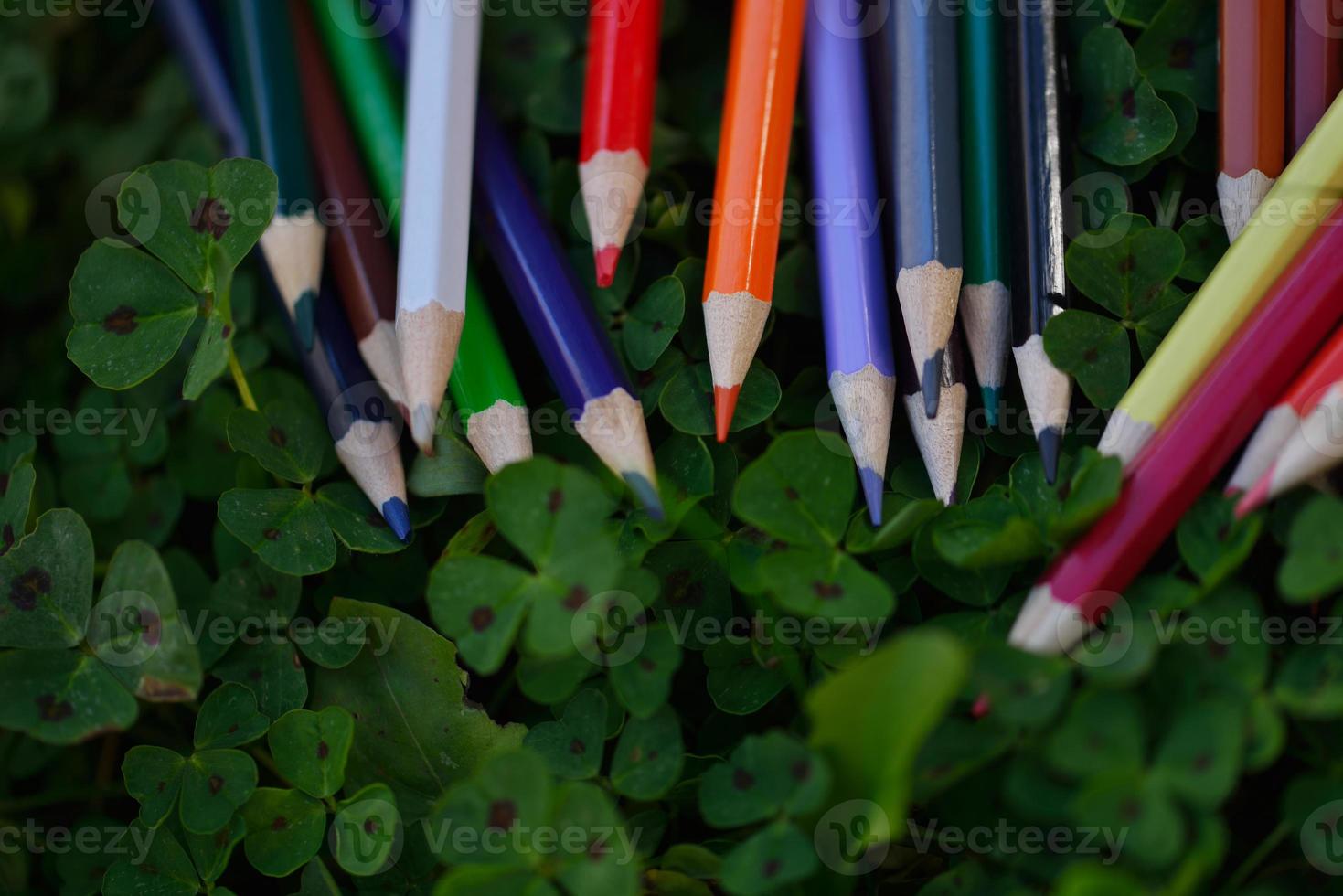 Art supplies view photo