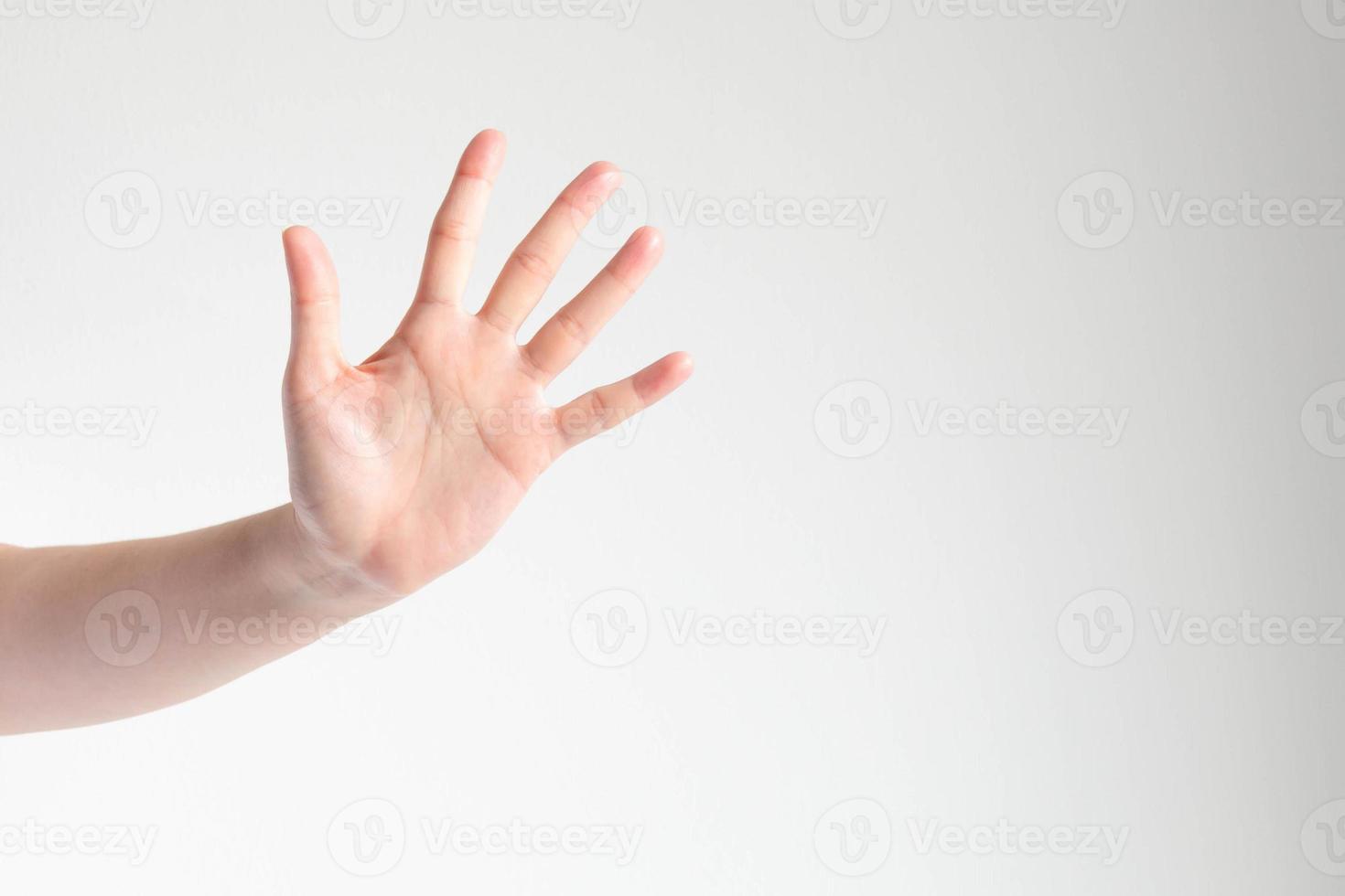 Woman showing a palm and raising five fingers on white background and copy space. photo