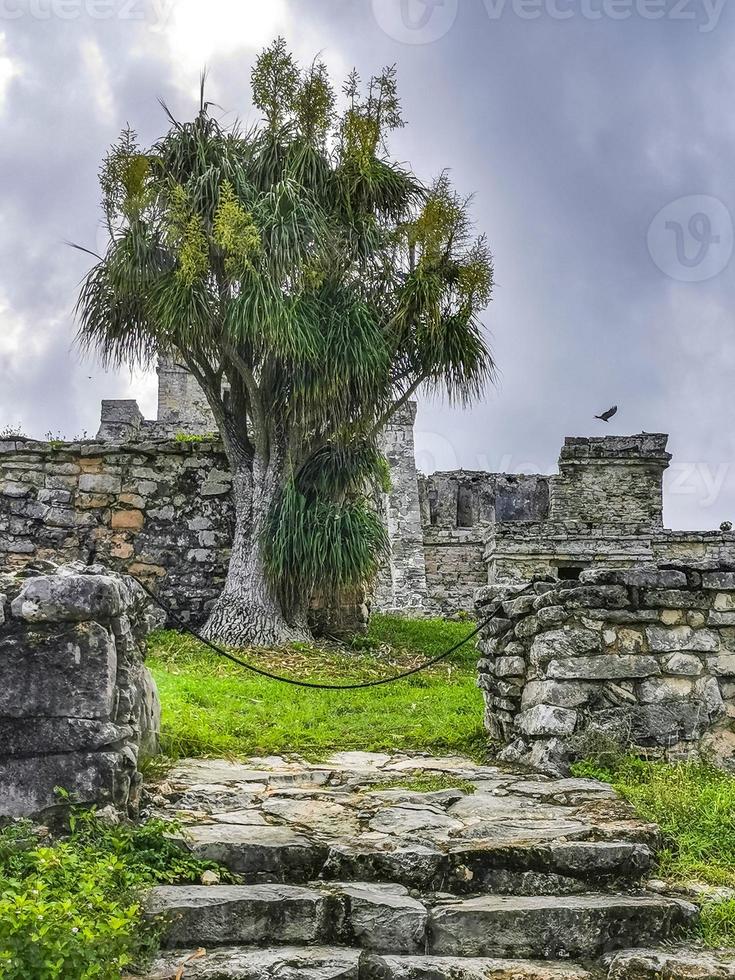 Ancient Tulum ruins Mayan site temple pyramids artifacts seascape Mexico. photo