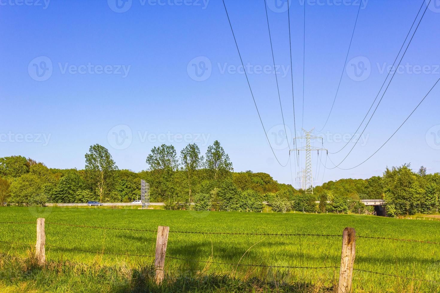 North German agricultural field forest trees nature landscape panorama Germany. photo