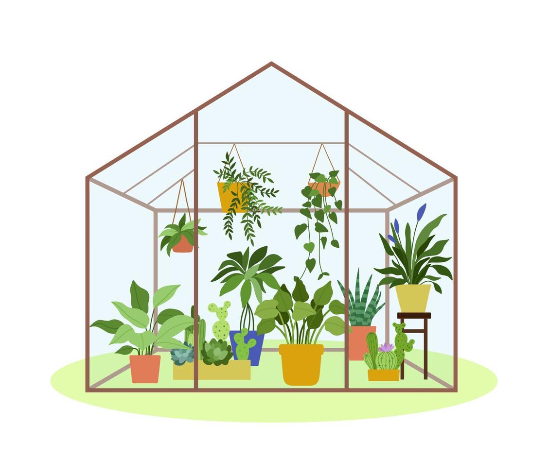 Planting greenhouse. Glass garden glass house, flowers and potted plants. Vector illustration of hobby gardening isolated on white . Plants hanging