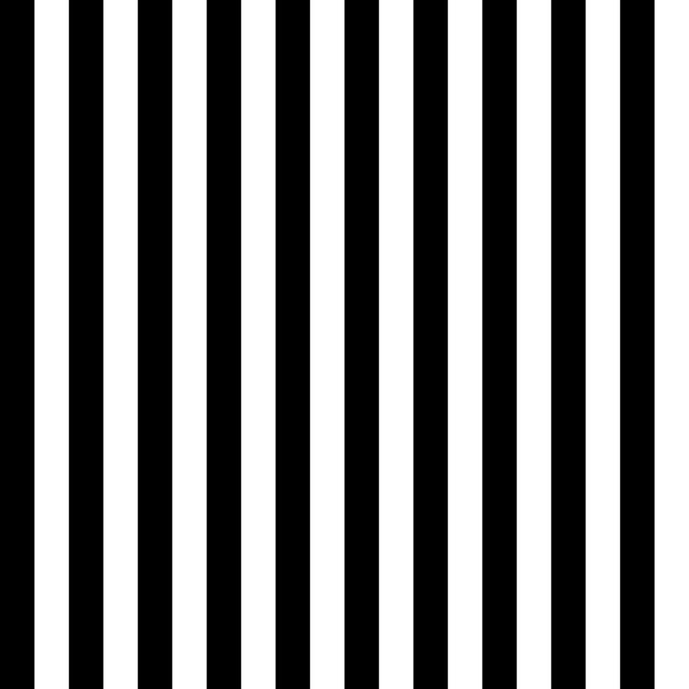 Black white stripes seamless pattern. Vector illustration.