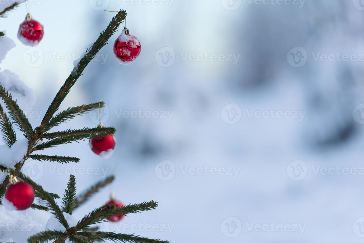 christmas balls on pine tree photo