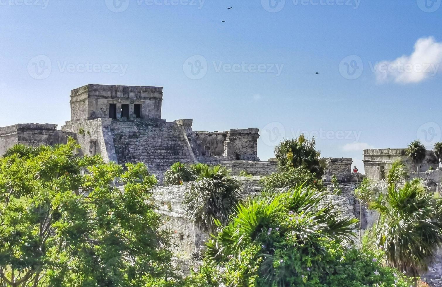 Ancient Tulum ruins Mayan site temple pyramids artifacts seascape Mexico. photo