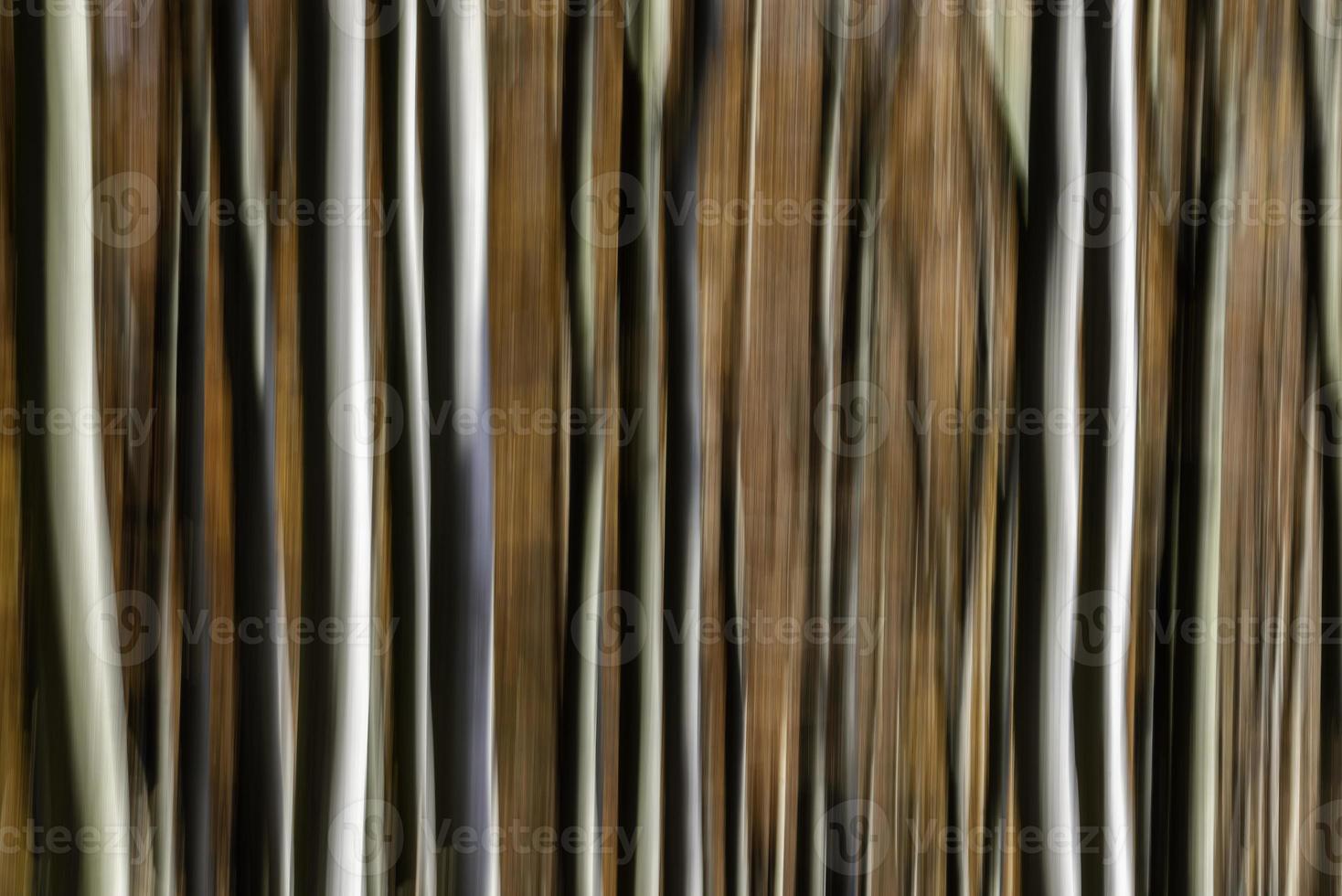 Abstract rendition of a beech forest photo