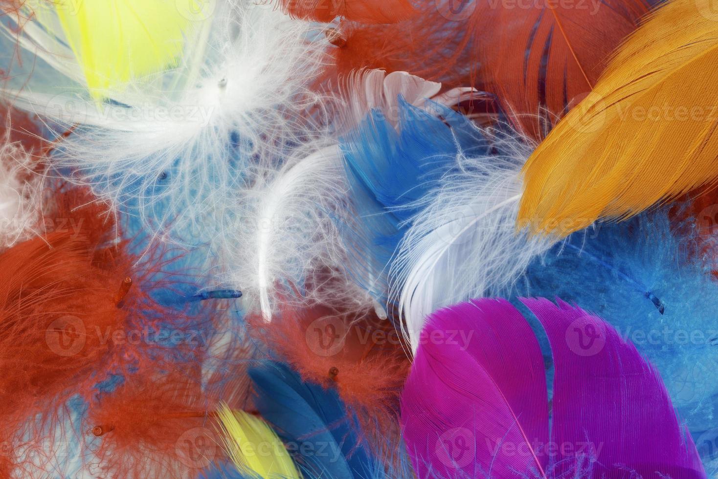 Multicolored goose feathers photo