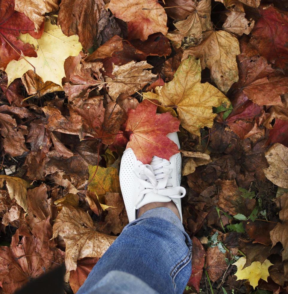 foot in white sneakers steps into a clearing with autumn leaves photo