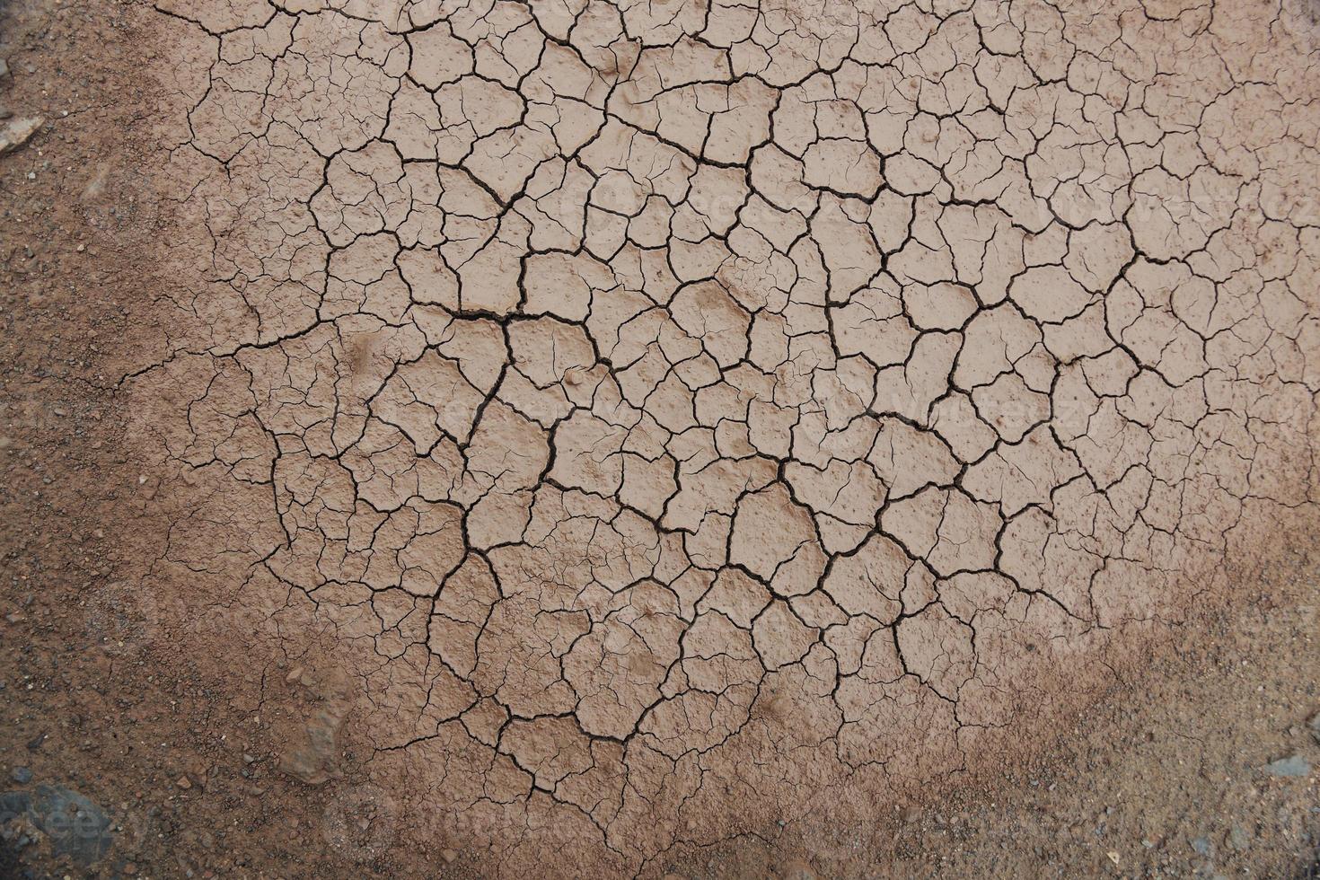 fondo de tierra seca foto