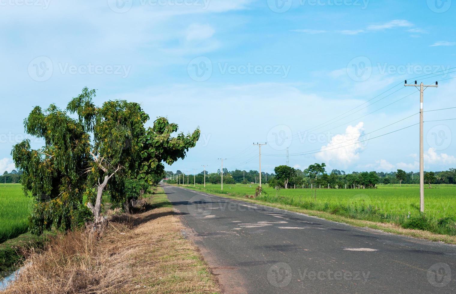 The Asphalt road photo
