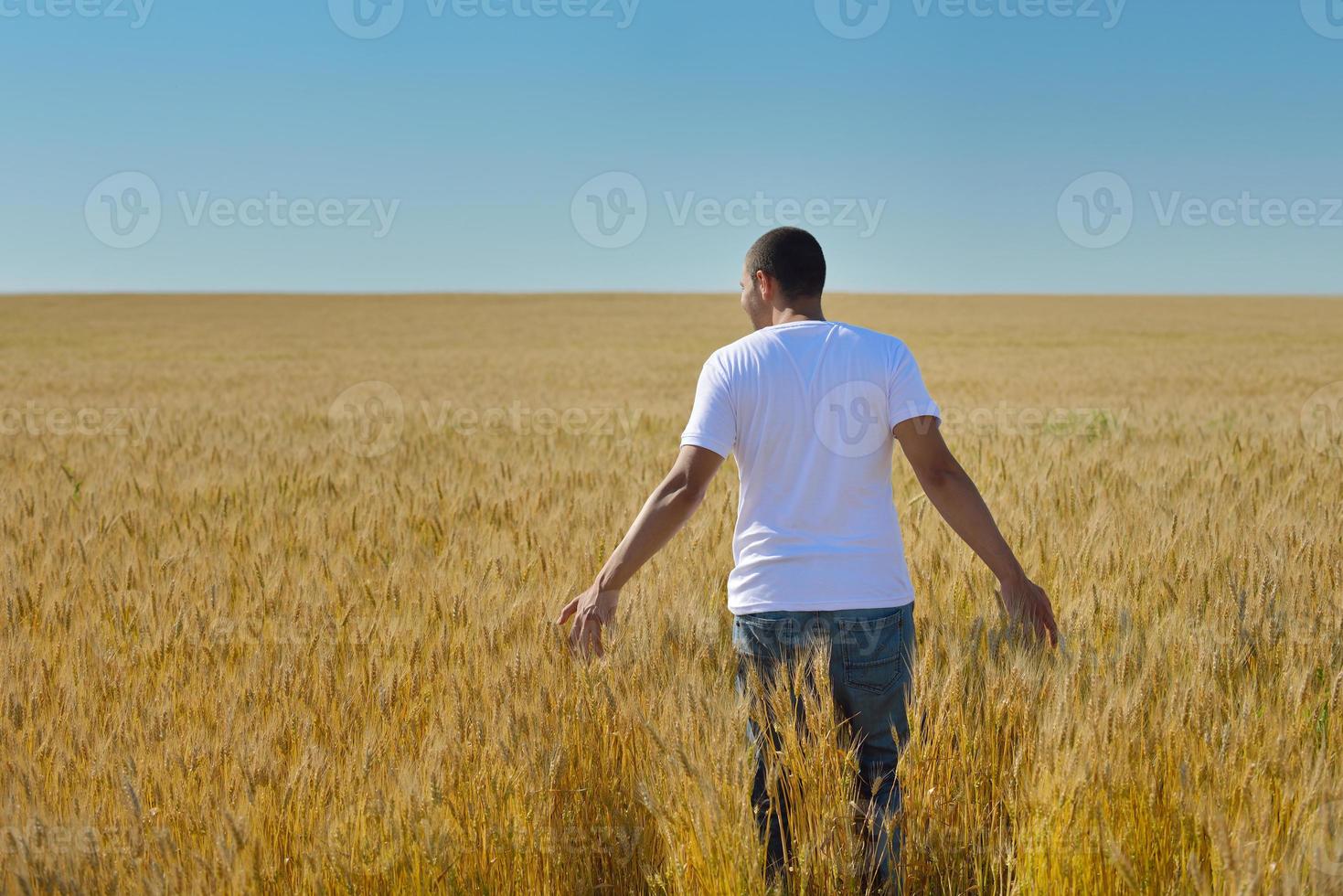 man in wheat field photo