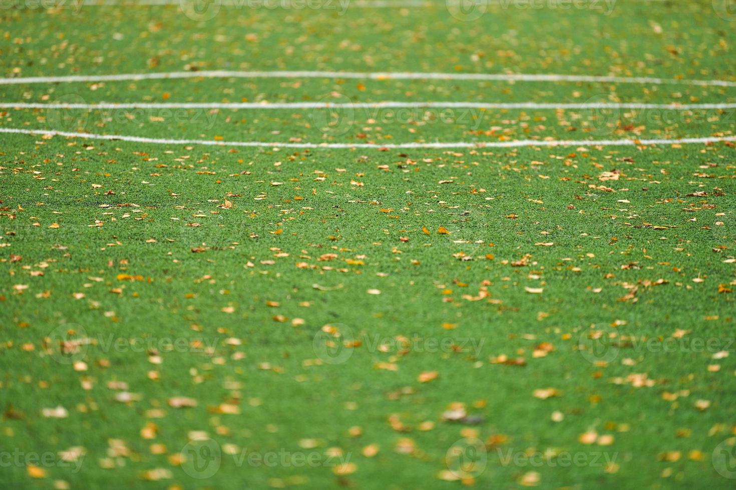 césped artificial, cubierta de campo deportivo foto