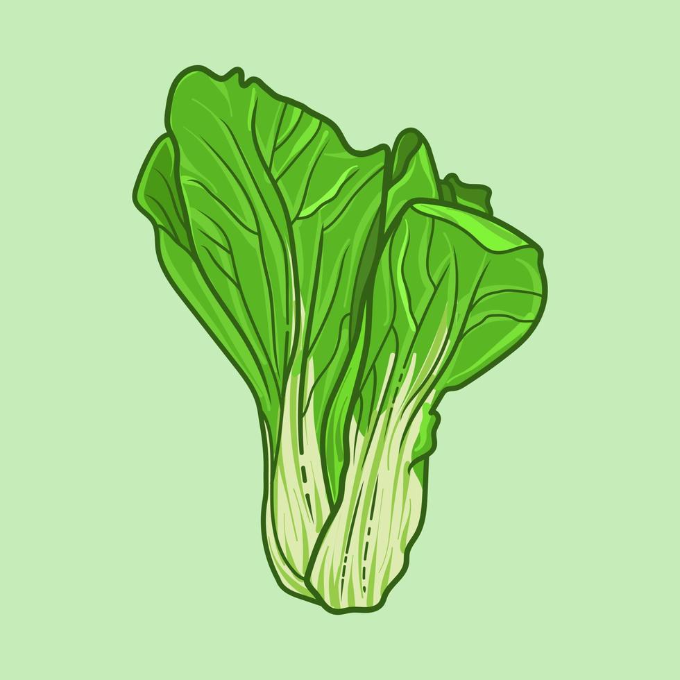 Bok Choi Cabbage vegetable vector isolated illustration