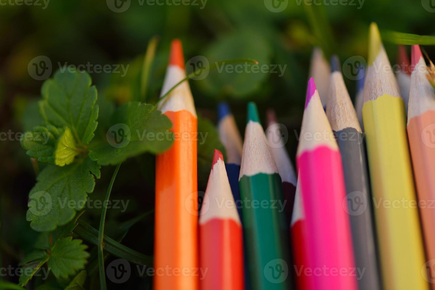 Colored pencils closeup photo