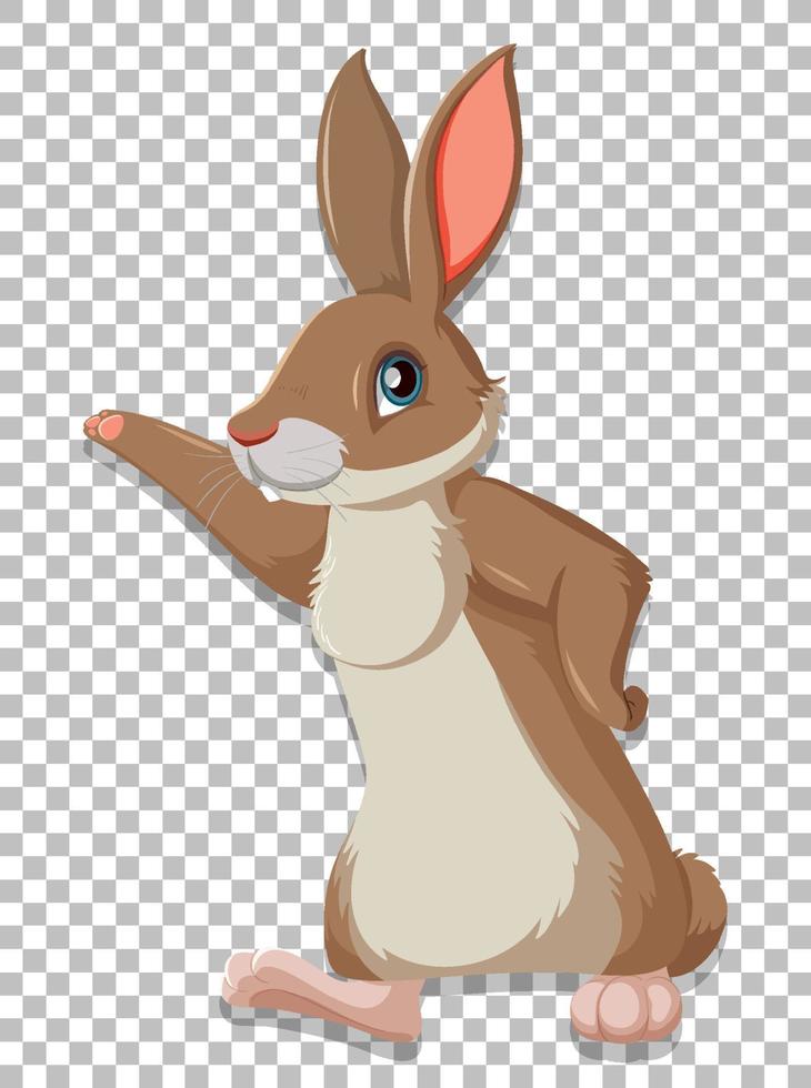 Cute rabbit on grid background vector