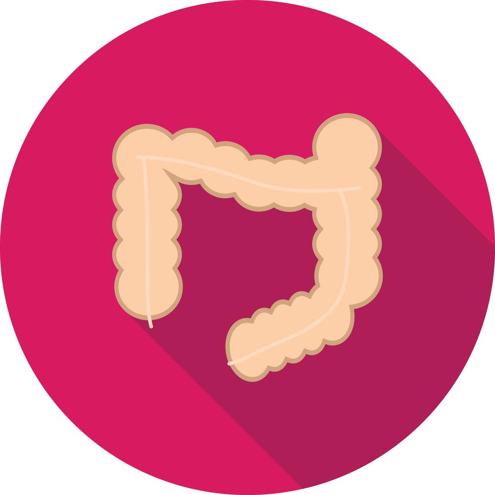 Intestines Flat Long Shadow Icon vector