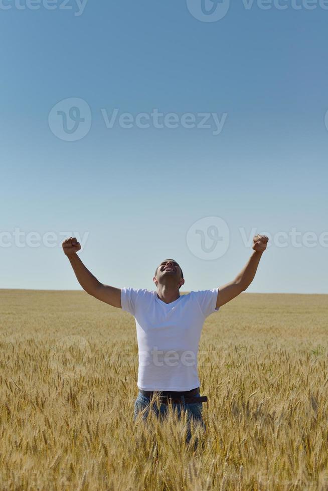 man in wheat field photo