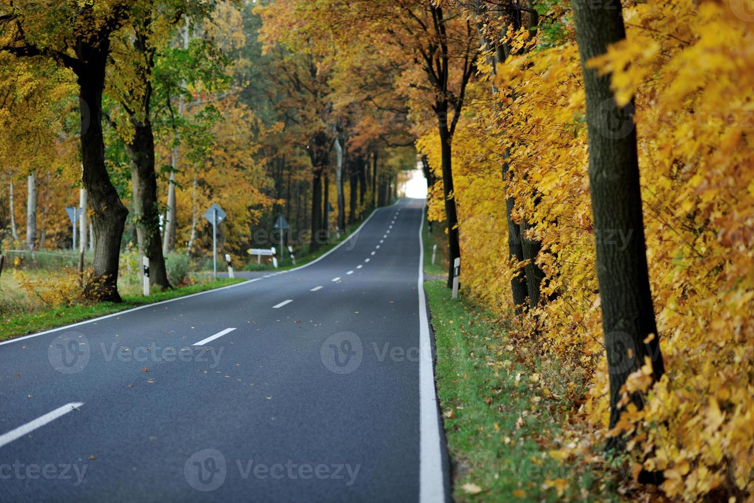 country road view photo