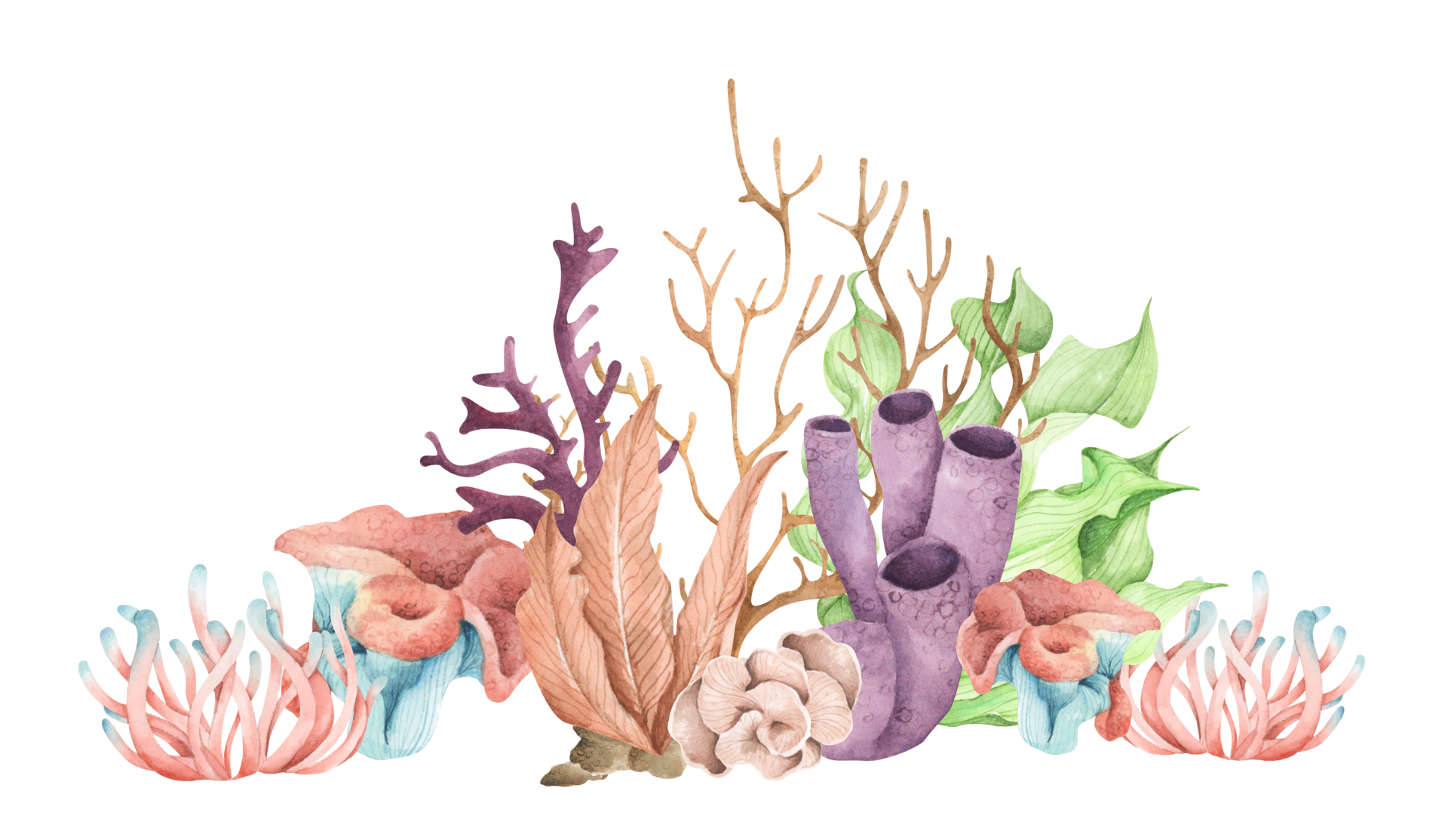 Tảo biển miễn phí là một cách tuyệt vời để biết thêm về loài sinh vật này và tìm hiểu cách chúng có thể giúp duy trì hệ sinh thái đại dương. Chúng tôi cung cấp một bộ sưu tập các hình ảnh sinh động và đa dạng về tảo biển, đảm bảo mang lại cho bạn thú vị và kiến thức bổ ích.
