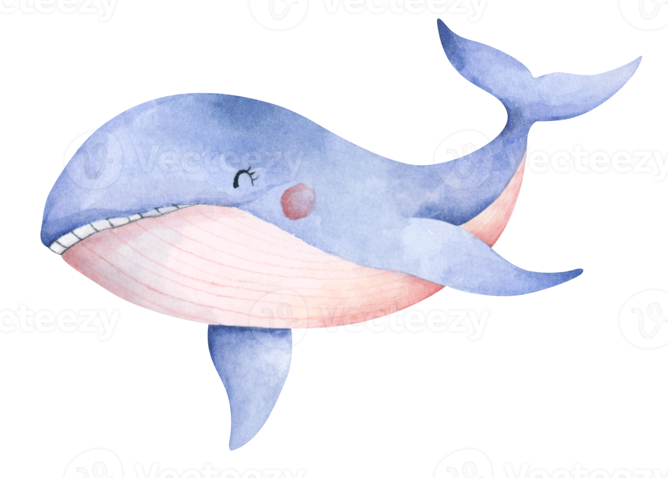 Cute blue whale. Underwater animal art. Watercolor illustration. png