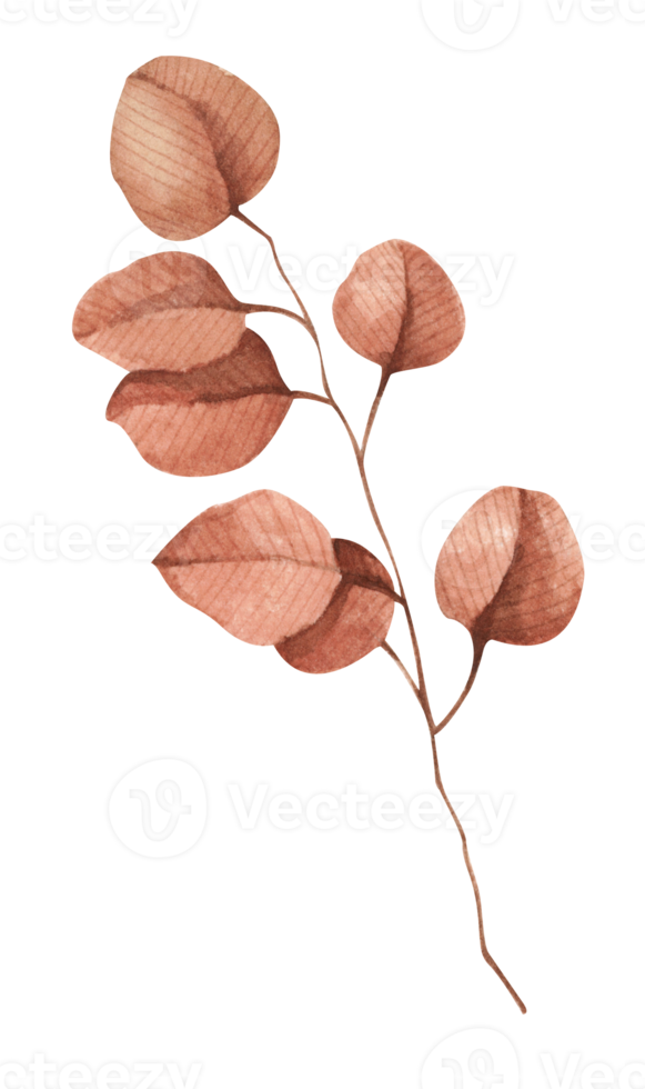 bloemen. waterverf illustratie. png